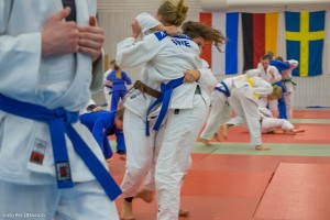 20170107 17.11 266 Per Ottosson